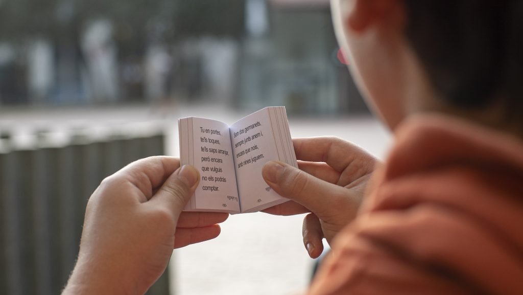 Minillibres regal festes